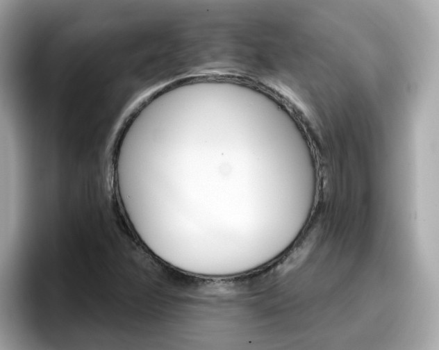 X0000096661358200802121122