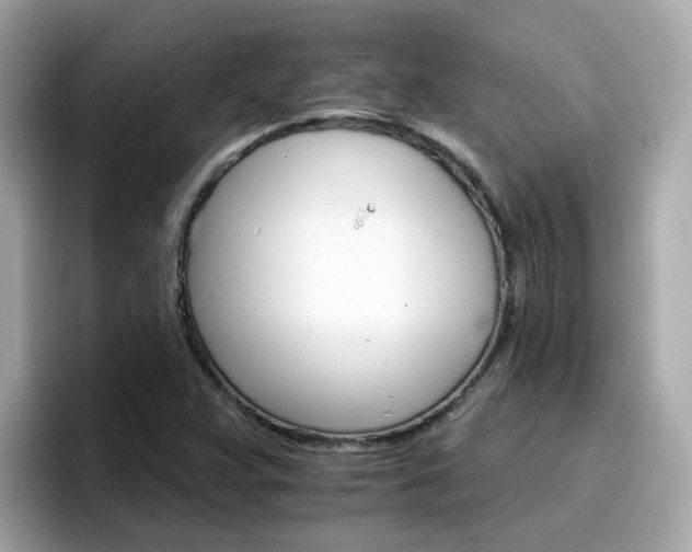 X0000096661359200802121122