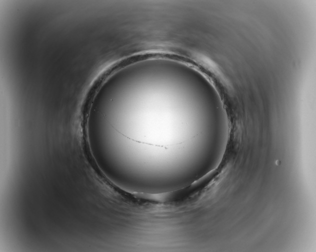 X0000096661360200802121122