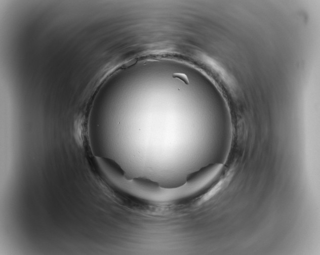 X0000096661361200802121122