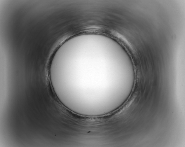 X0000096661362200802121122