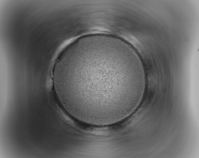 X0000096661363200802121122