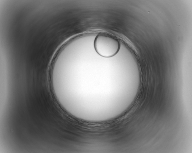 X0000096661364200802121122