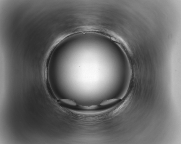 X0000096661365200802121122