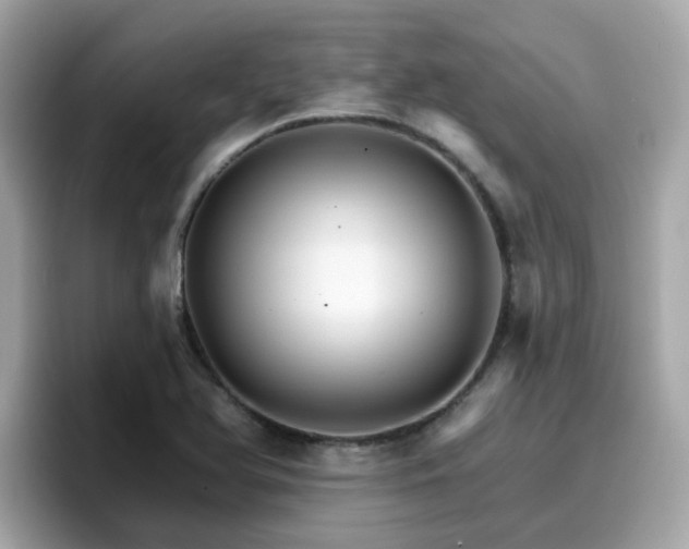 X0000096661366200802121122