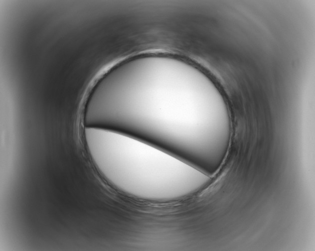 X0000096661367200802121122