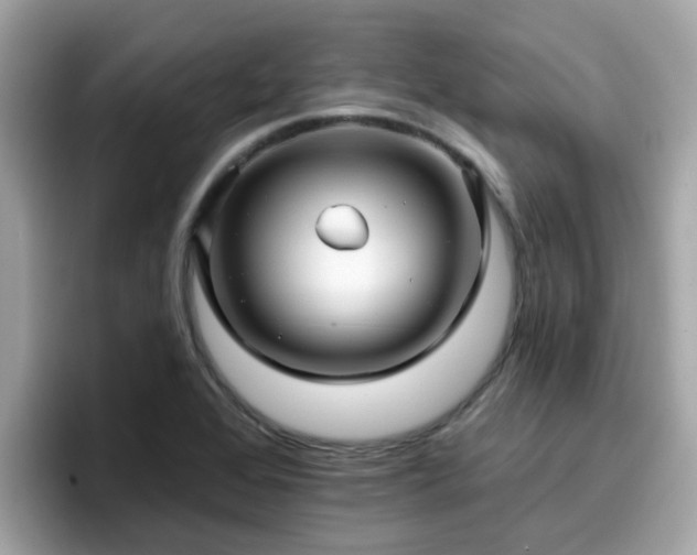 X0000096661368200802121122