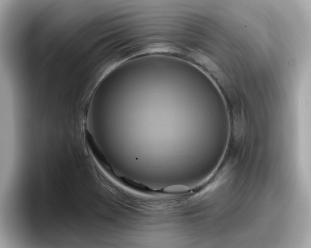 X0000096661369200802121122