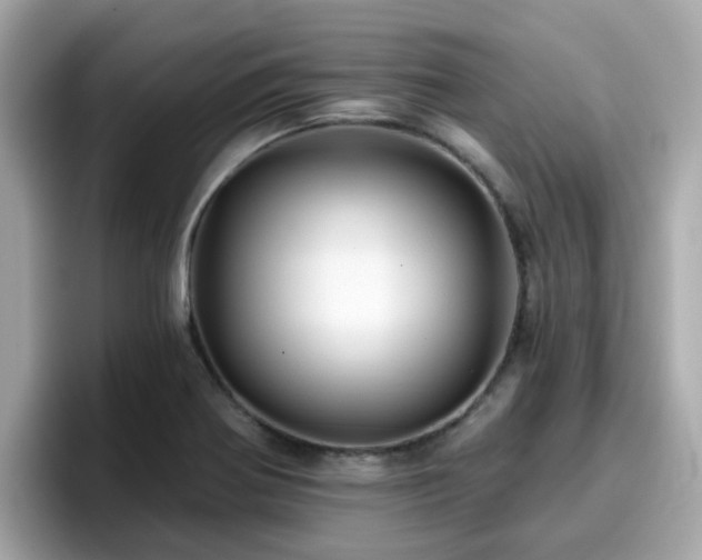 X0000096661370200802121122