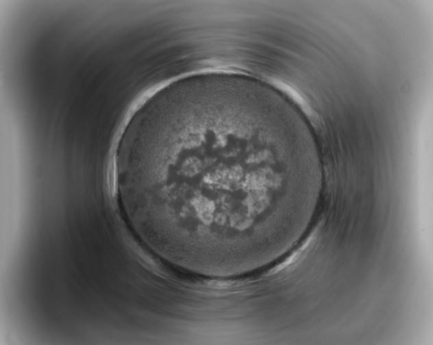 X0000096661371200802121122