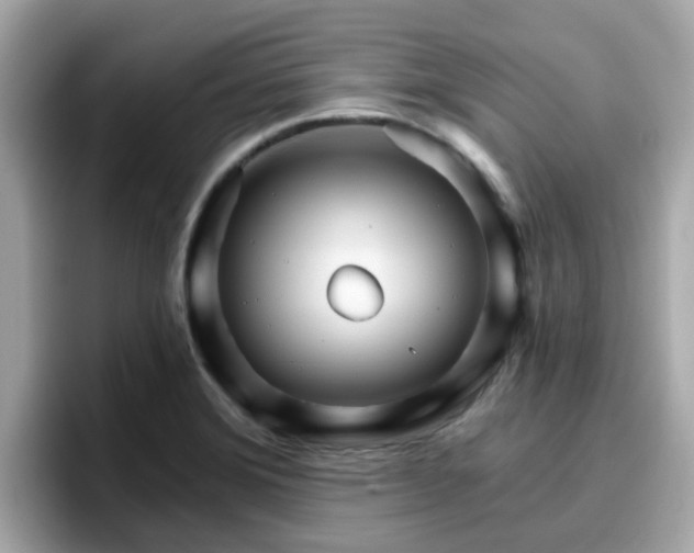 X0000096661372200802121122