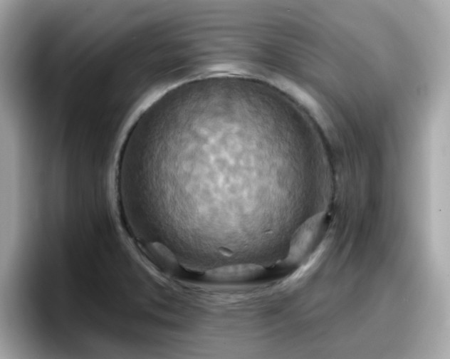 X0000096661373200802121122