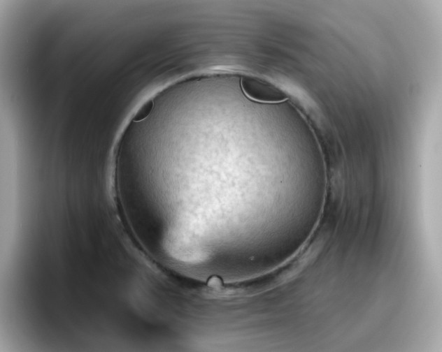 X0000096661374200802121122