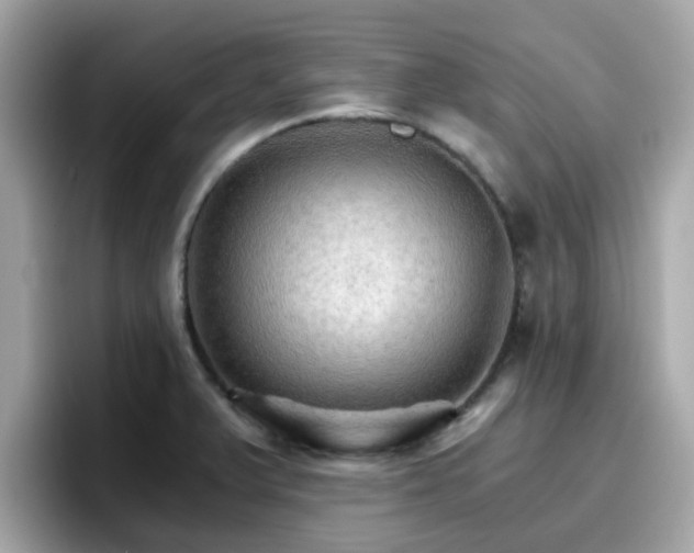 X0000096661375200802121122