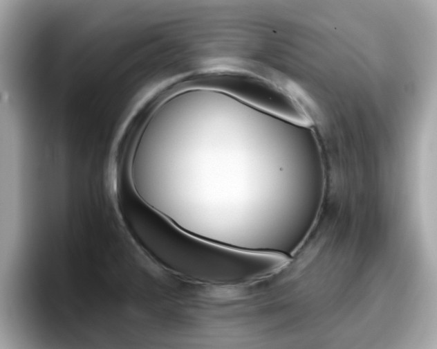 X0000096661376200802121122