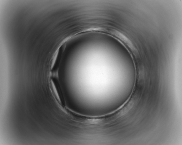 X0000096661377200802121122