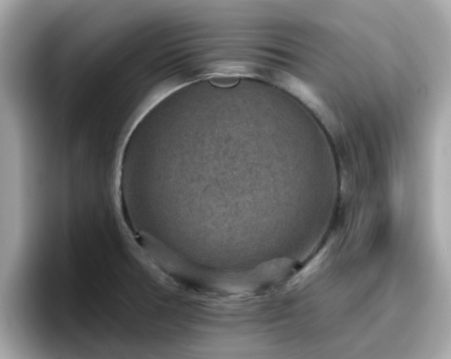 X0000096661378200802121122