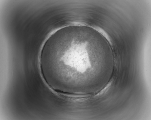 X0000096661381200802121122