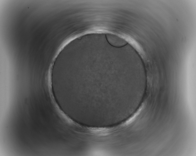 X0000096661382200802121122