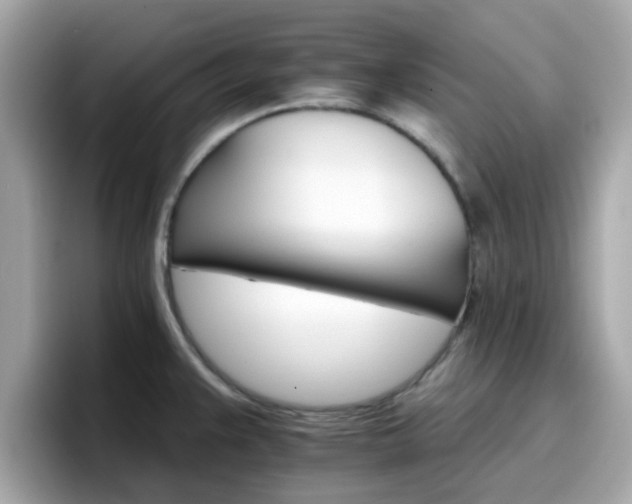 X0000096661383200802121122