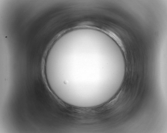 X0000096661384200802121122