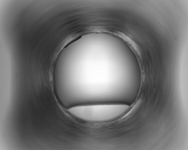 X0000096661385200802121122