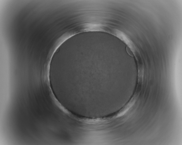 X0000096661386200802121122