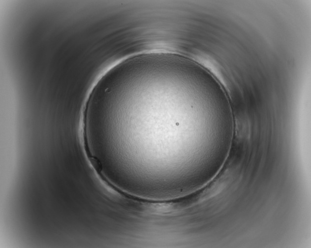 X0000096661387200802121122