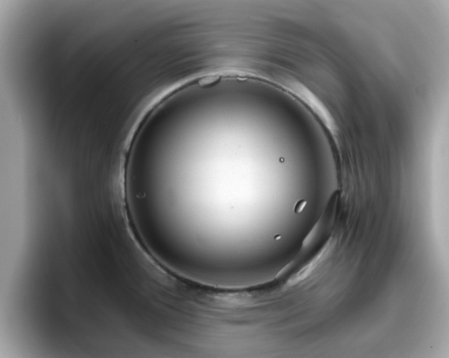 X0000096661388200802121121