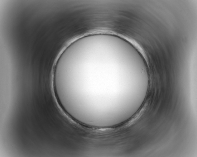 X0000096661390200802121121