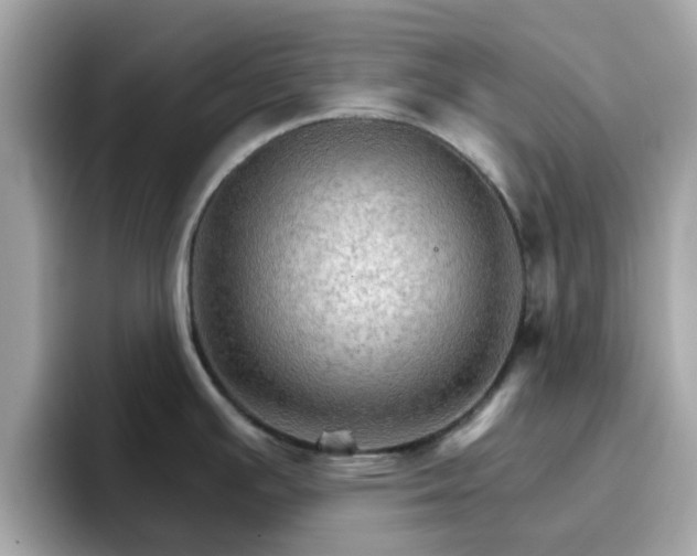 X0000096661391200802121121