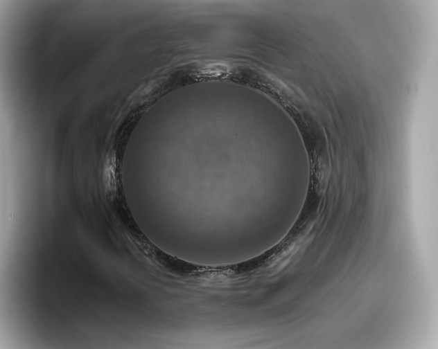 X0000096661394200802121121