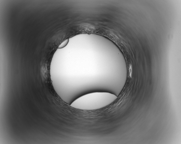 X0000096661395200802121121