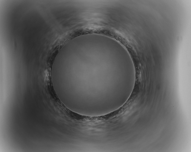 X0000096661397200802121121