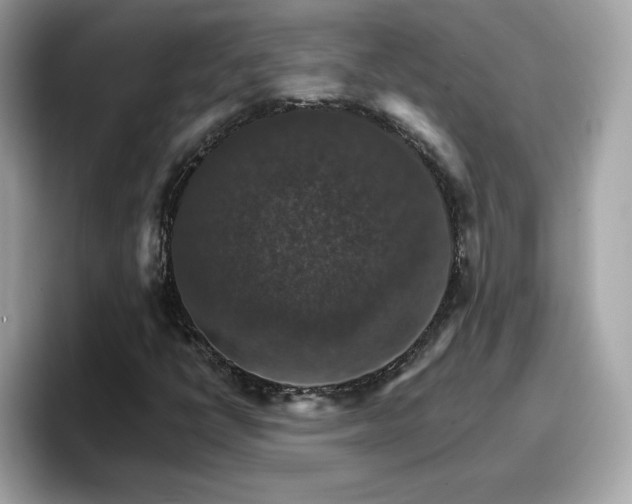 X0000096661398200802121121