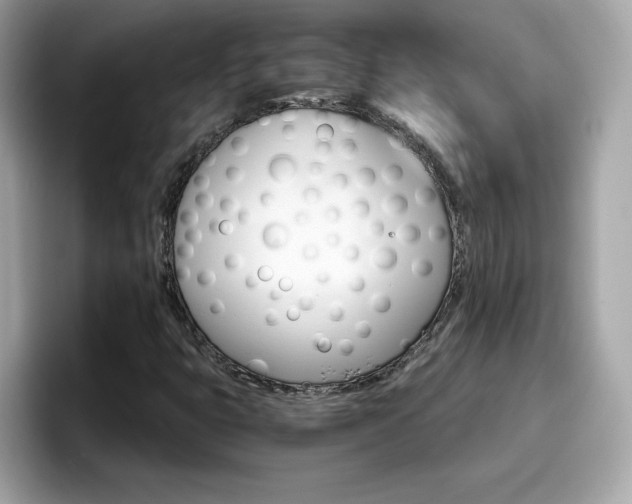 X0000096661399200802121121