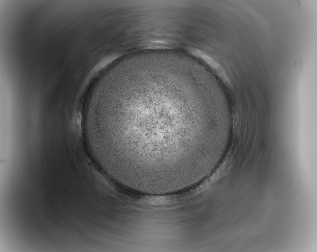 X0000096661402200802121121