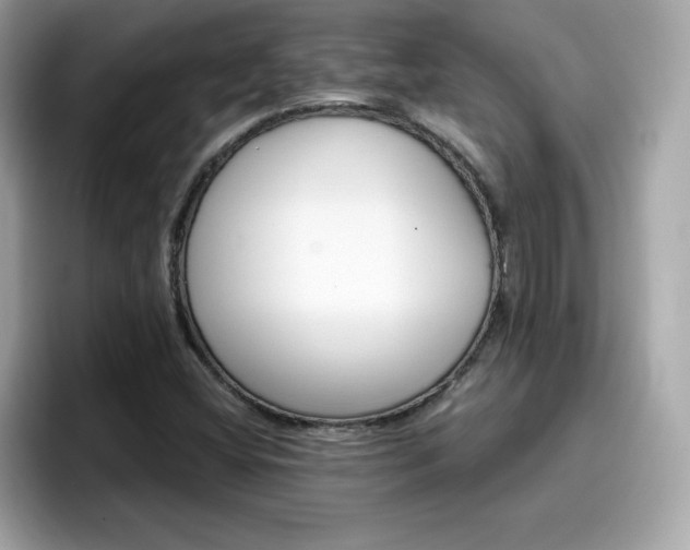 X0000096661404200802121121