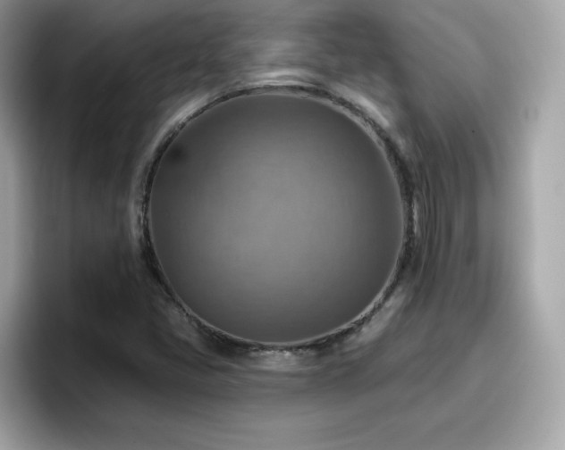 X0000096661405200802121121