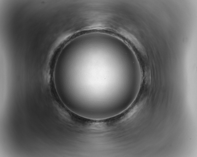 X0000096661406200802121121