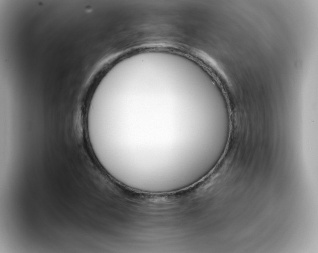 X0000096661408200802121121