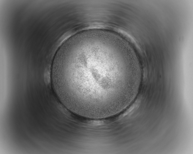 X0000096661409200802121121