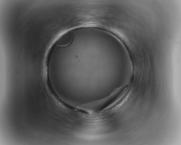 X0000096661414200802121121