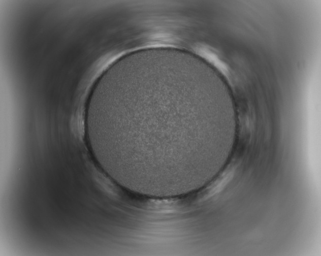 X0000096661415200802121121