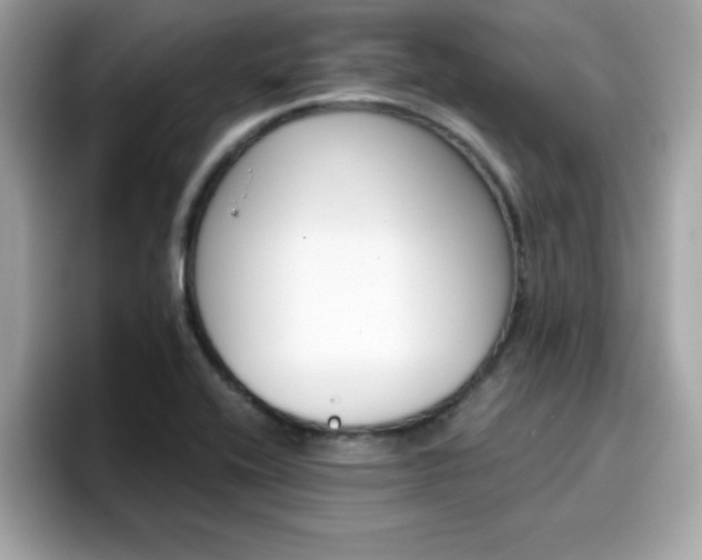 X0000096661416200802121121