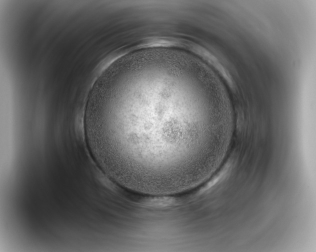 X0000096661417200802121121