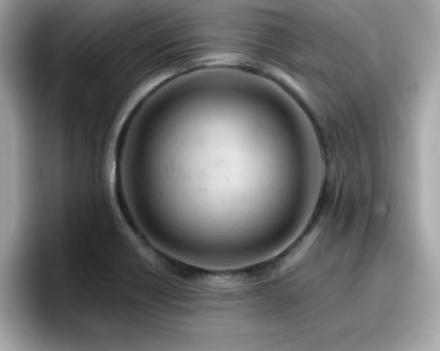 X0000096661418200802121121