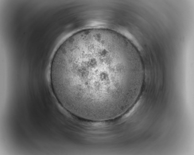 X0000096661421200802121121