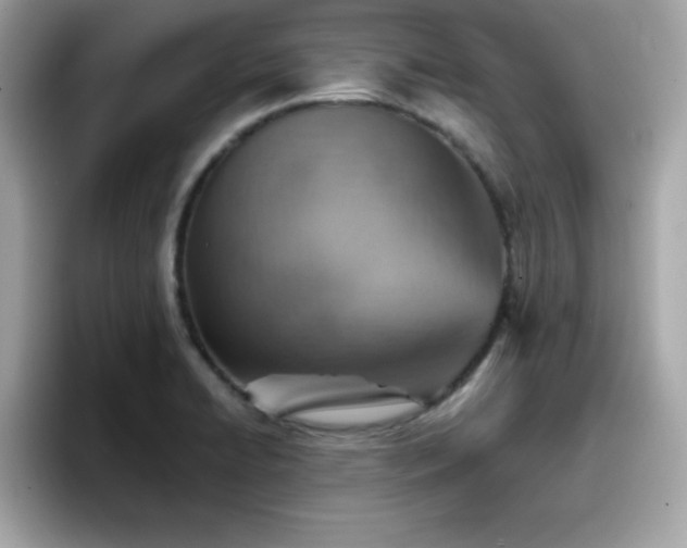 X0000096661422200802121121