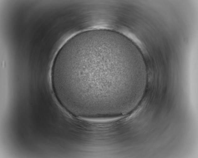 X0000096661423200802121121